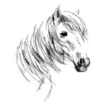 Horse Sketch