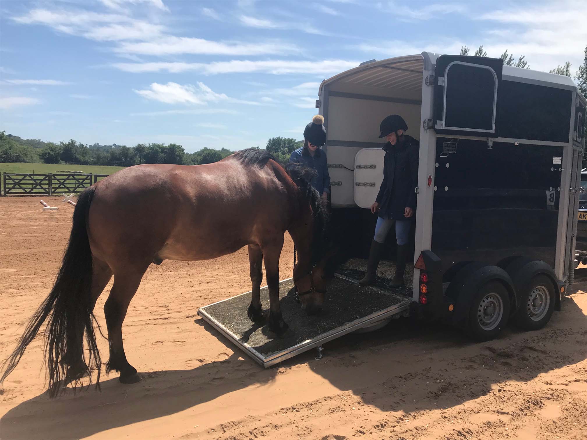 Horse entering Horse Box